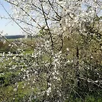 Aux Bois D'en Temps