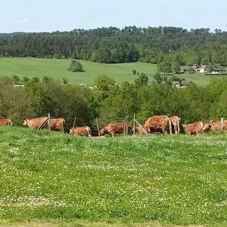 Casa de Férias Aux Bois D'en Temps