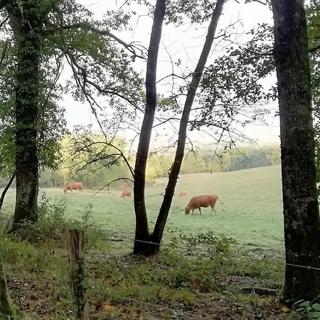 Aux Bois D'en Temps Casa de Férias Lunas (Dordogne)