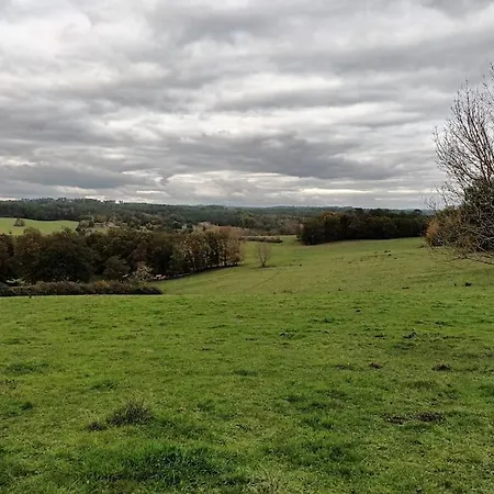 Aux Bois D'en Temps *