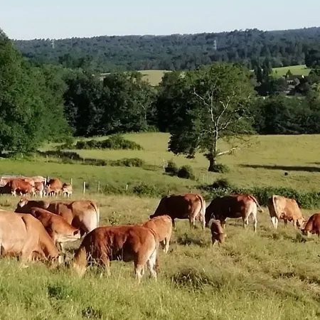 Aux Bois D'en Temps Casa de Férias Lunas (Dordogne)