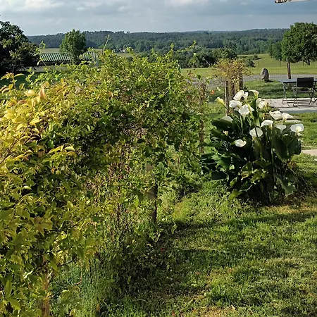 Aux Bois D'en Temps Casa de Férias Lunas (Dordogne)