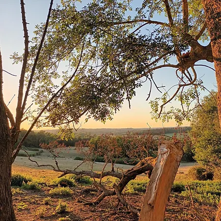 Aux Bois D'en Temps * Lunas (Dordogne)