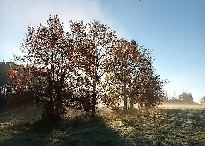 Aux Bois D'en Temps Lunas (Dordogne)