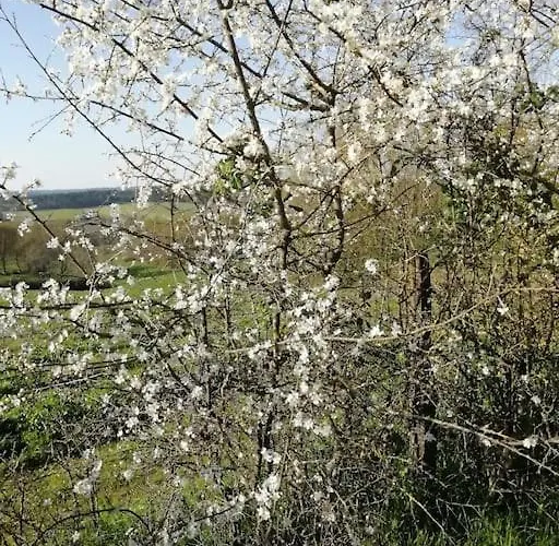 Aux Bois D'en Temps
