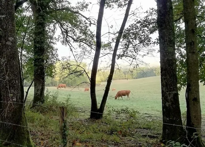 Aux Bois D'en Temps Casa de Férias Lunas (Dordogne)