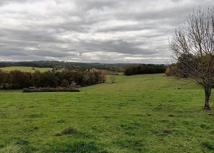 Aux Bois D'en Temps *