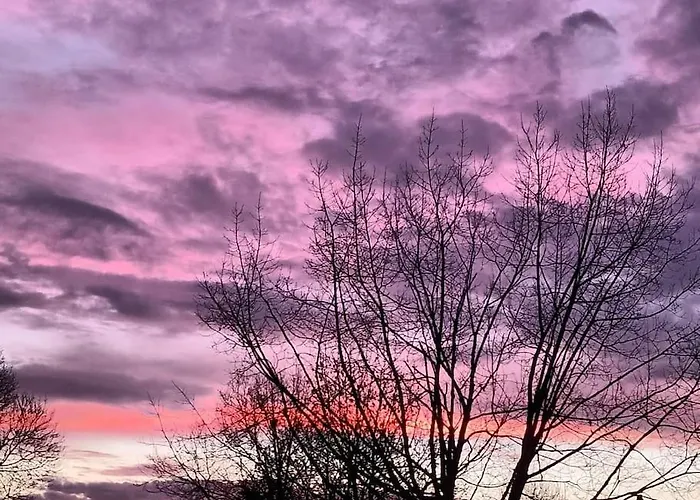 Aux Bois D'en Temps *