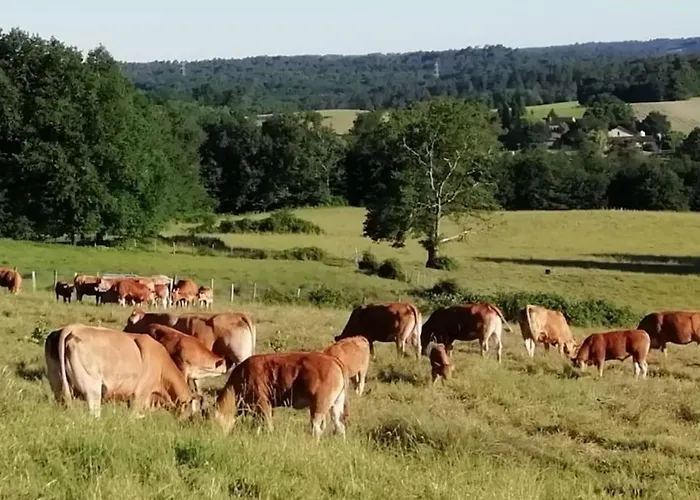 Aux Bois D'en Temps Casa de Férias Lunas (Dordogne)